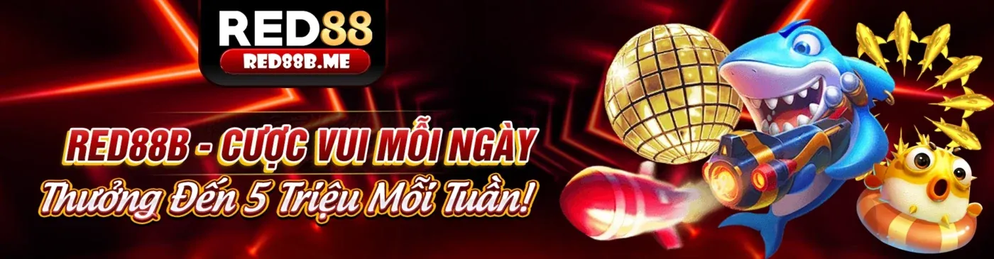 Hình ảnh tổng quan về tin tức mới nhất từ 8ki chính thức